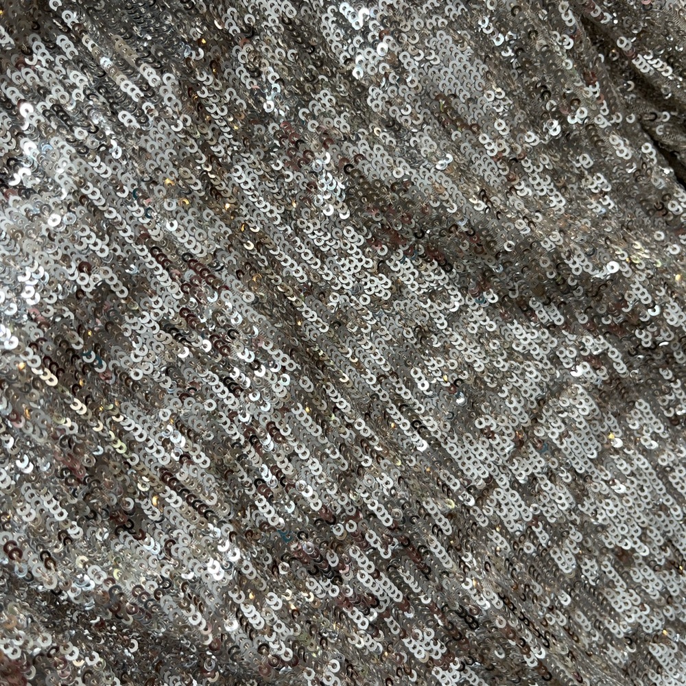 Express High rise cropped sequin pants